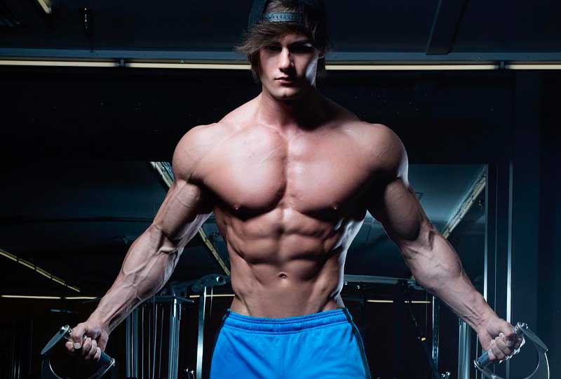 jeff-seid-gladiadores-fit