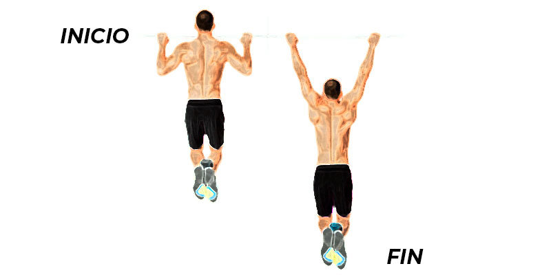 DOMINADAS-EXCENTRICAS