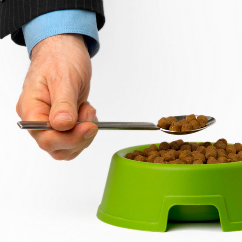 dieta-con-comida-de-perro