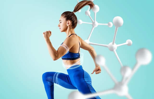 metabolismo
