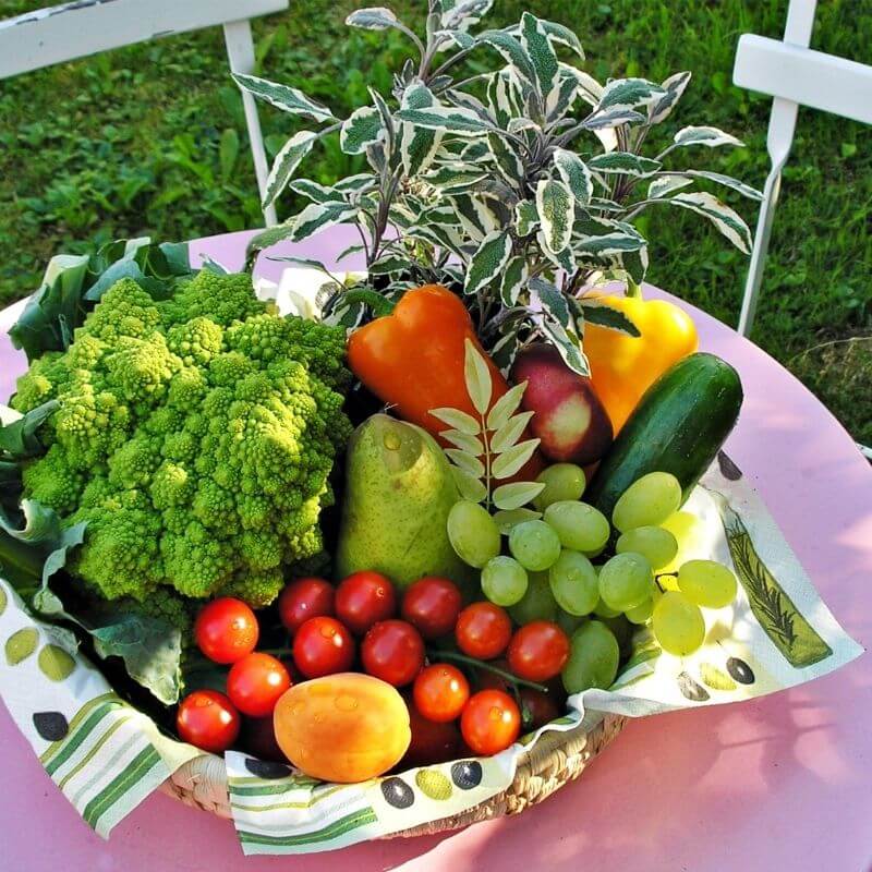 alimentos quemagrasas