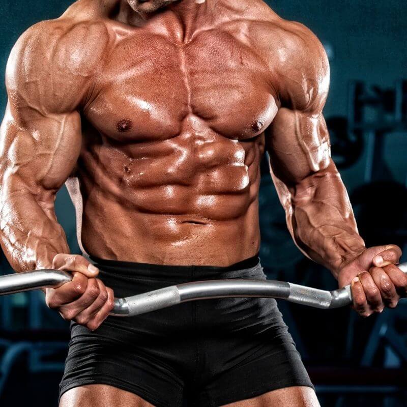 desarrollo muscular